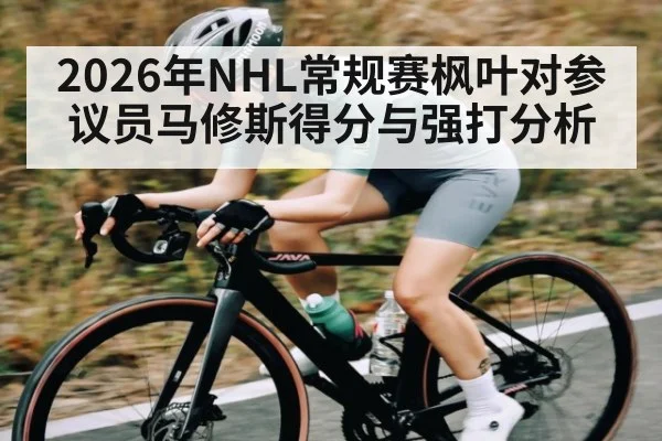 2026年NHL常规赛枫叶对参议员马修斯得分与强打分析